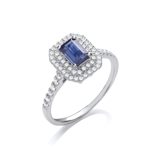9ct White Gold Fine Blue Sapphire and Diamond Cluster Ring (0987)