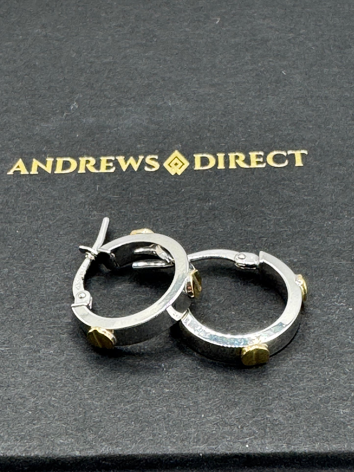 9ct White and Yellow Gold 15mm Screw Hoop Earrings (446A)