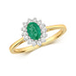 9ct Yellow Gold Emerald and Diamond Cluster Ring, Sizes J to Q (260)