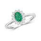 9ct White Gold Emerald and Diamond Cluster Ring, Sizes J to Q (260)